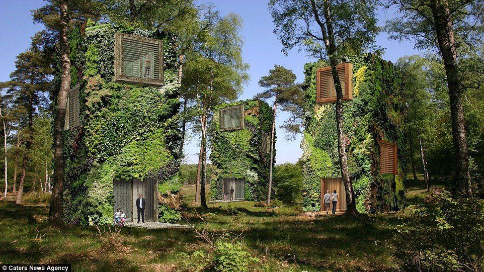 Living in a city with your house looking like a tree, sounds impossible, right? Well, it may actually become a ...