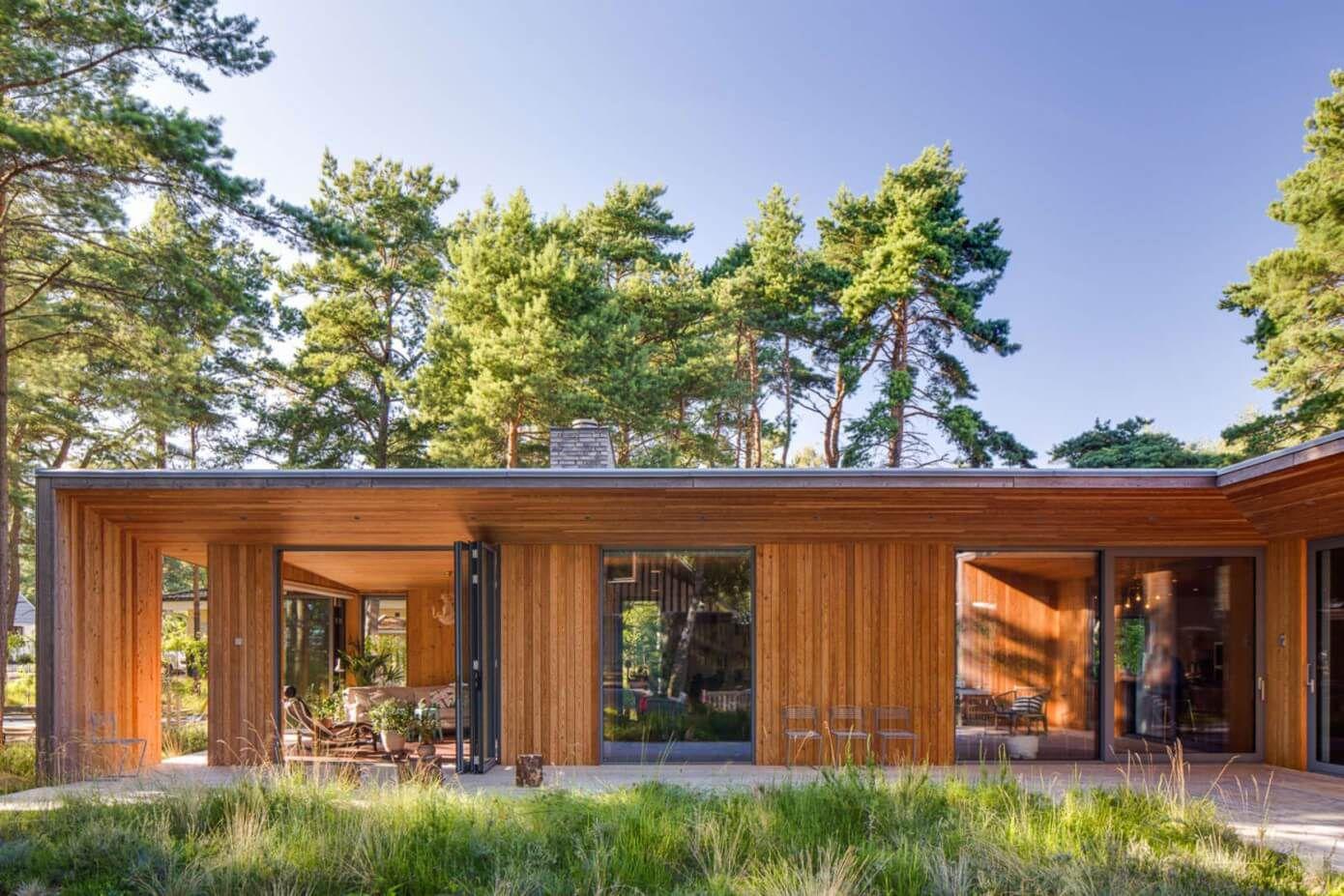 The area is rich with tall pine trees, and this plot is no exception. The project comprises three buildings: a ...
